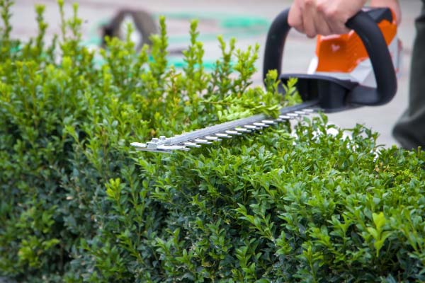 Commercial Landscaping Services Commercial Landscaping Services