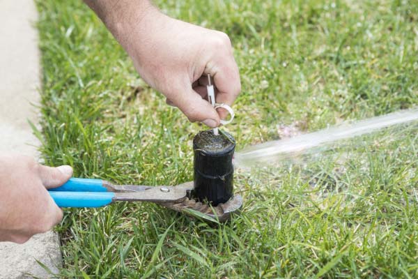 Irrigation Services Irrigation Services