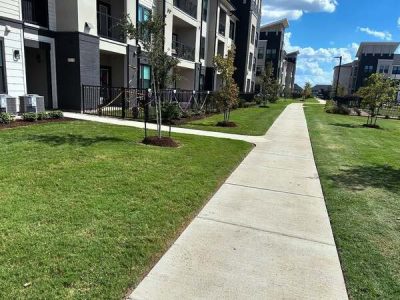 Professional Landscapers