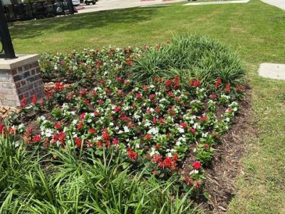 Quality Lawn Care